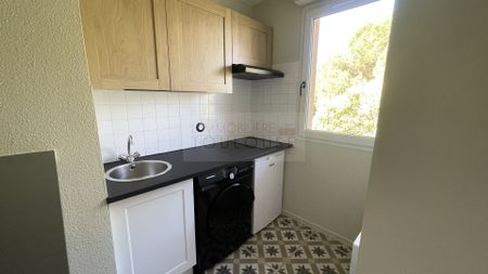 Location Appartement 1 pièce 21m² TOULOUSE 31100 - Photo 3