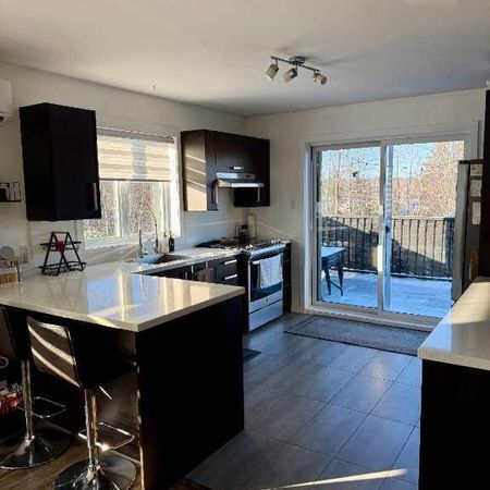 Grand 5 1/2 à louer, St-Canut - Photo 4