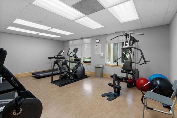 For Lease - 205 Bolton Street Unit# 217, Lower Town - Sandy Hill, Ontario - Photo 1