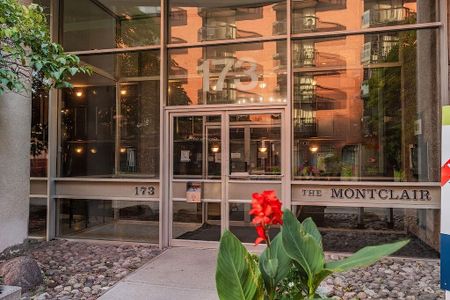 173 Cooper, Centretown, Ottawa, ON - Photo 4