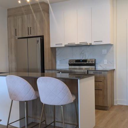 4 1/2 - Montréal (Saint-Michel) - 1 875 $/mois - Photo 1