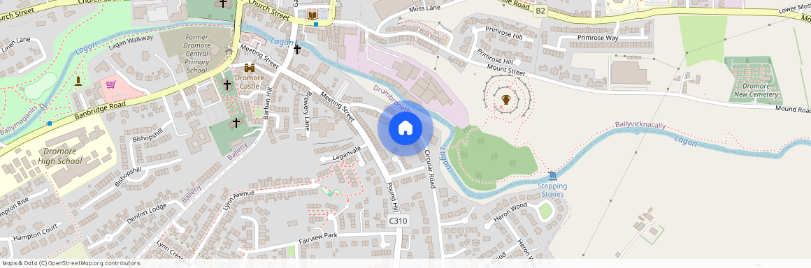 8 Laurel Mews, Dromore, BT25 1FT