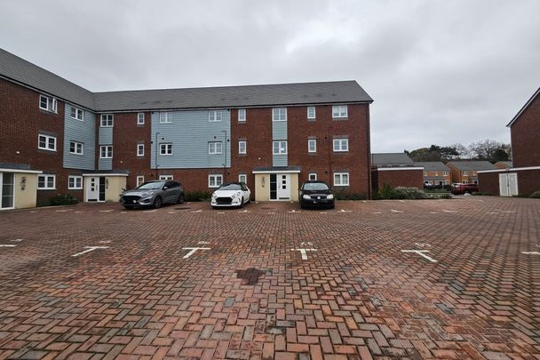 Tame Close - Photo 1