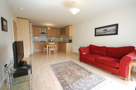 1 bedroom apartment to rent - Photo 2