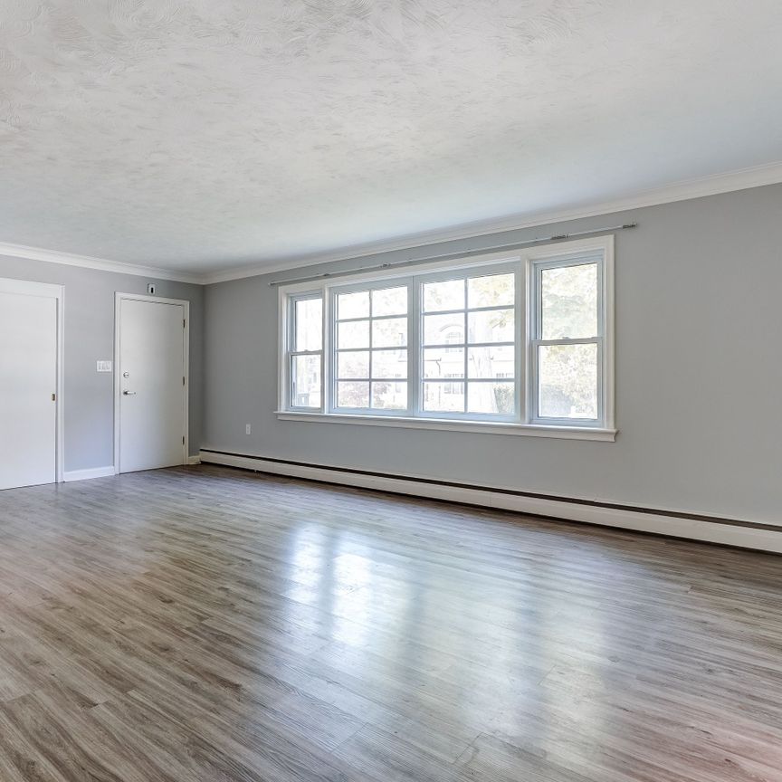 For Lease - 302 Maple Avenue Unit# Main floor, Oakville, Ontario - Photo 1