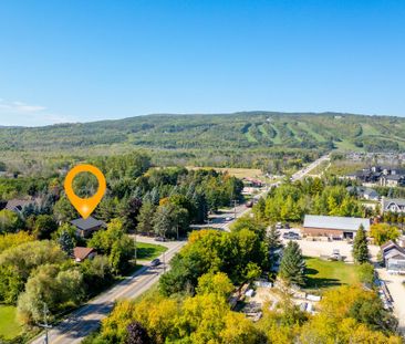 For Lease - 734 Mountain Road, Collingwood, Ontario - Photo 5