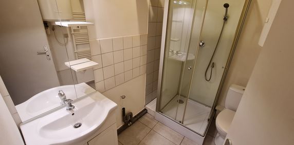 Location Appartement 1 pièce 22m² MULHOUSE 68100 - Photo 2