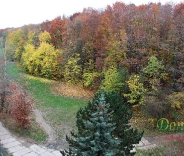 Pronájem bytu 1+kk s lodžií, 42 m - Photo 5