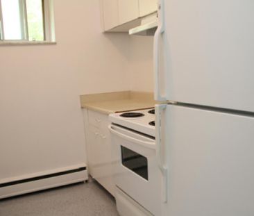 Benvenuto Apartments - Photo 5