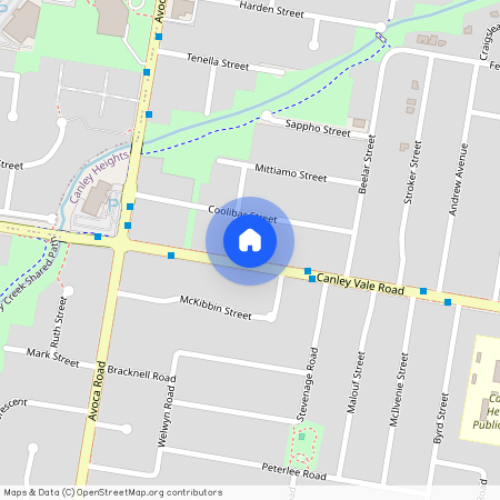 311A Canley Vale Road, NSW 2166, Canley Heights