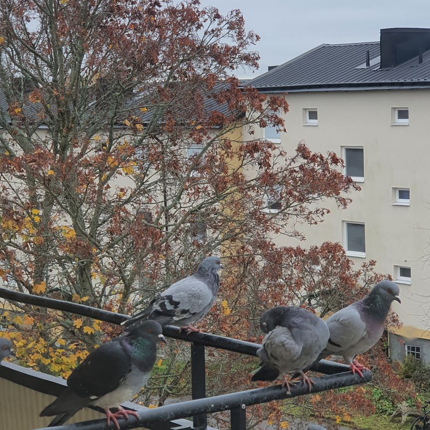 Stövargatan, Bandhagen - Photo 2