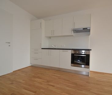 Annenviertel / Zentrum – 55 m² – großer Südbalkon – 2 Zimmer – Schl... - Photo 4