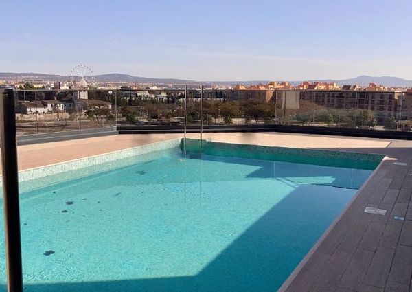 Modern apartment in Palma to rent
