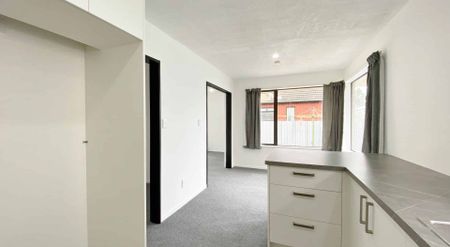 RICCARTON - 2 BEDROOMS, 1 BATHROOM, HEATPUMP, DOUBLE GARAGE - Photo 3