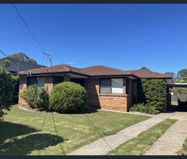 29 Orleans Crescent, Toongabbie, NSW 2146 - Photo 1