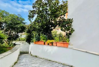 Villino a Schiera in affitto - Via Maffeo Vegio, Roma (rif. 9/2026)