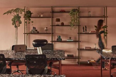 Deluxe Duo - Photo 3