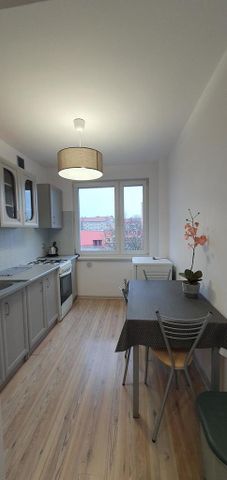 Umeblowana kawalerka na wynajem Nowogard - Zdjęcie 4