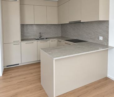4.5 Zi Wohnung/ Generalsaniert, an sehr ruhiger zentraler Lage - Foto 3
