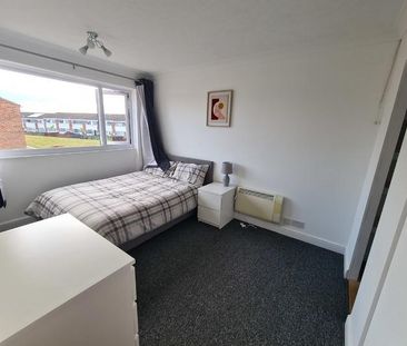 4 bedroom house share to rent - Photo 6