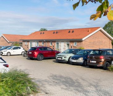 Velkommen til Hvesager i Jelling! - Foto 4