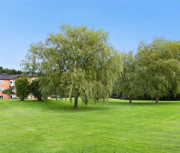 Afd. 16 Teglparken - Foto 6