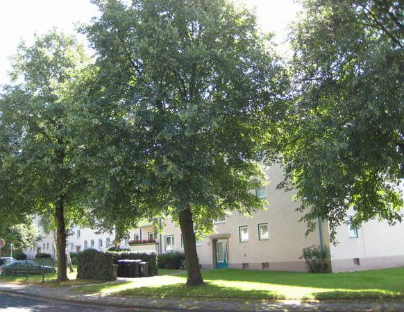 Demnächst frei! 3-Zimmer-Wohnung in Werl - Photo 1