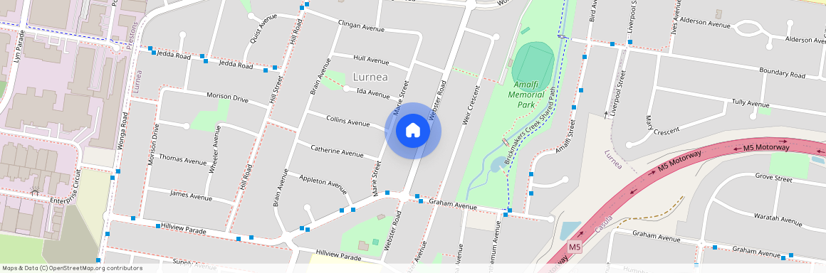 121 Webster Road Lurnea