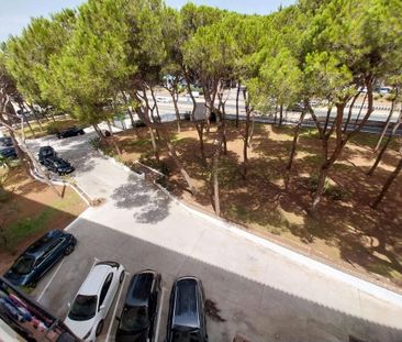 2 room luxury Flat for rent in Mijas, Spain - Photo 2
