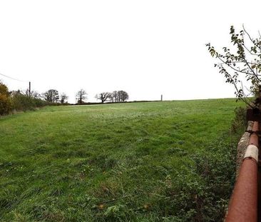 Woodlands Bungalow, Gileston, Barry, CF62 - Photo 5