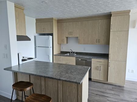 2000-304 beau logement (Vacant) 3 1/2 rénové situé rue Gauthier, Sherbrooke - Photo 5