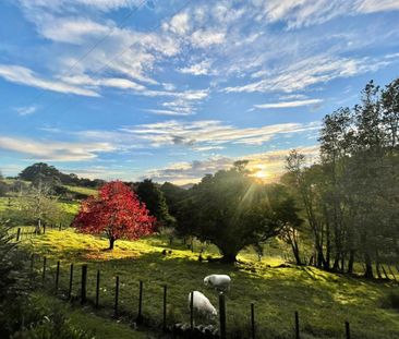 Valley Views and Fresh Eggs Await! - Photo 1