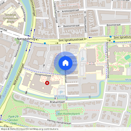 Maria Cherubinastraat, 4817KZ, Breda, 4817KZ