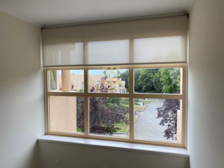 4 room luxury House for rent in Aldoar, Porto, Distrito do Porto - Photo 3