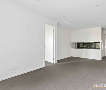Extra Large One Bedroom Apartment in the Parliamentary Triangle - Photo 3