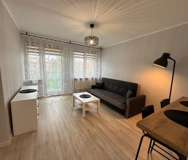 Sosnowiec, Stary Sosnowiec, Daleka - Zdjęcie 5