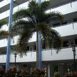 Blk 339 Clementi Avenue 5 (Clementi), HDB 3 Rooms - For Rent - Photo 2