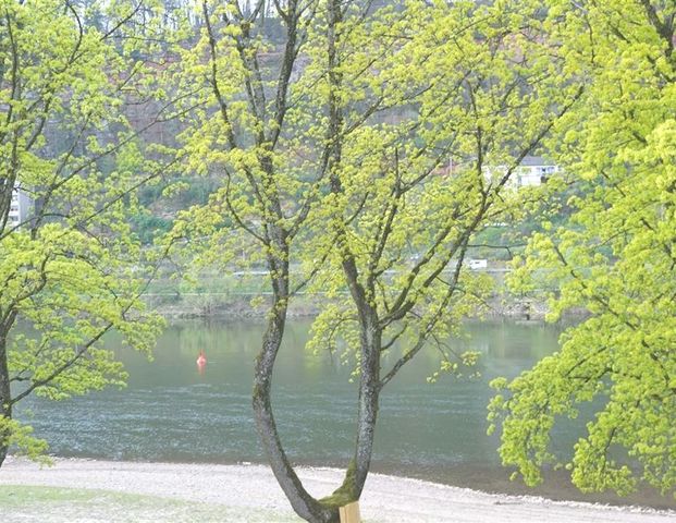 Wunderschöne 2-Zimmerwohnung mit tollem Ausblick auf die Mosel und großem Balkon... - Photo 1