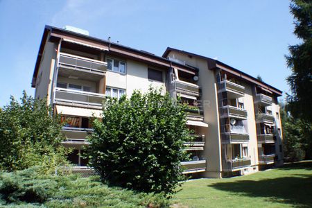 5½-ROOM APARTMENT IN A FAMILY-FRIENDLY NEIGHBORHOOD - Photo 3