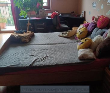 Pronájem bytu pokoj 18 m2 - Photo 3