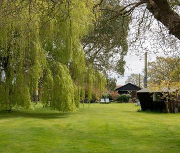 1 bedroom bungalow to rent - Photo 4