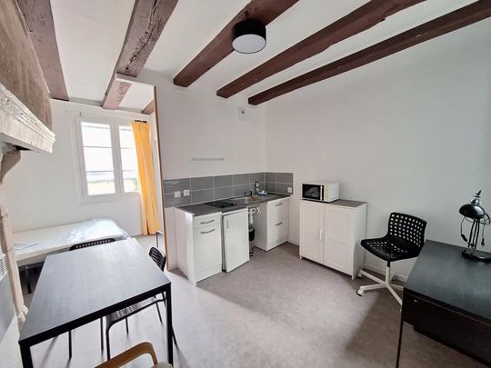Location Appartement 1 pièce 23m² TOURS 37000 - Photo 1