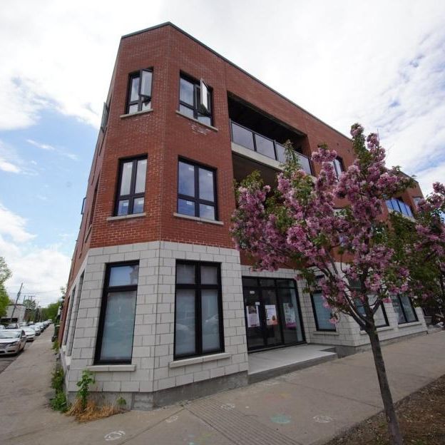Appartement à louer - Montréal (Lachine) (Est) - Photo 1
