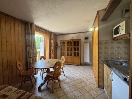 Location Appartement 2 pièces Meublé 24m² ONNION 74490 - Photo 2