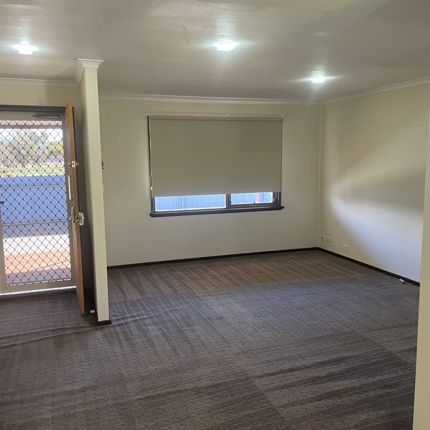 Don't Miss This 3x1 Well Located With A Large Backyard. - Photo 1