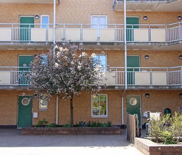 Klostergränden 5 - Foto 5