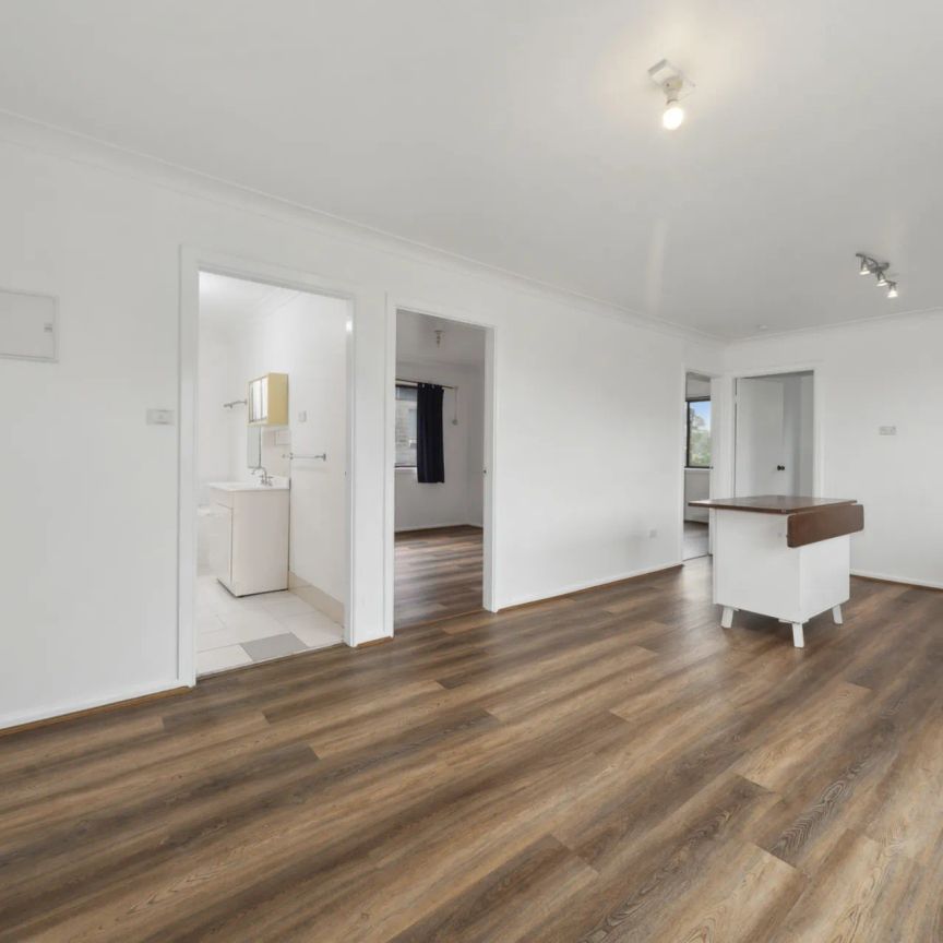 2/502 Pacific Highway, - Photo 1