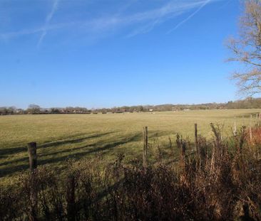 1 bedroom detached bungalow to rent - Photo 1