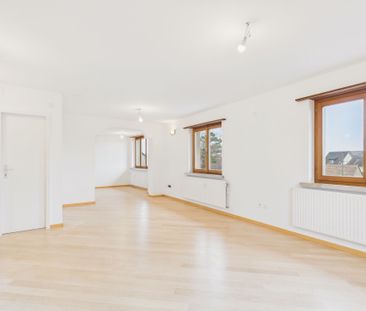 Completely renovated 5-room apartment with terrace in Wenslingen BL - Foto 1