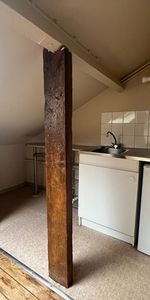 AVENUE DE TURENNE, Spacieux T1 de 54m² au sol ! - Photo 3